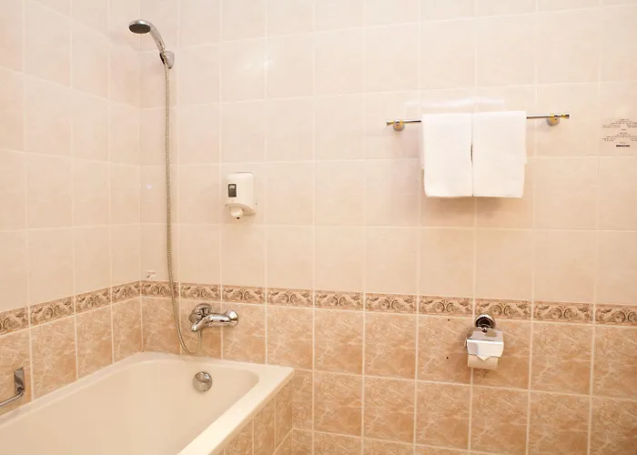 Kolonna Brigita 3* Riga